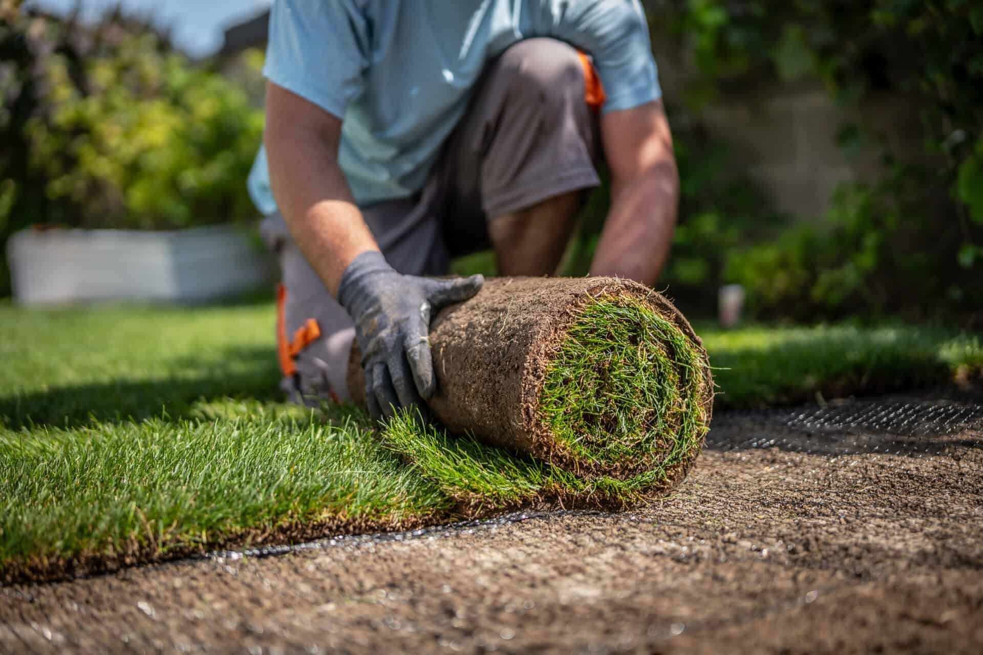 Team installing sod / signature work