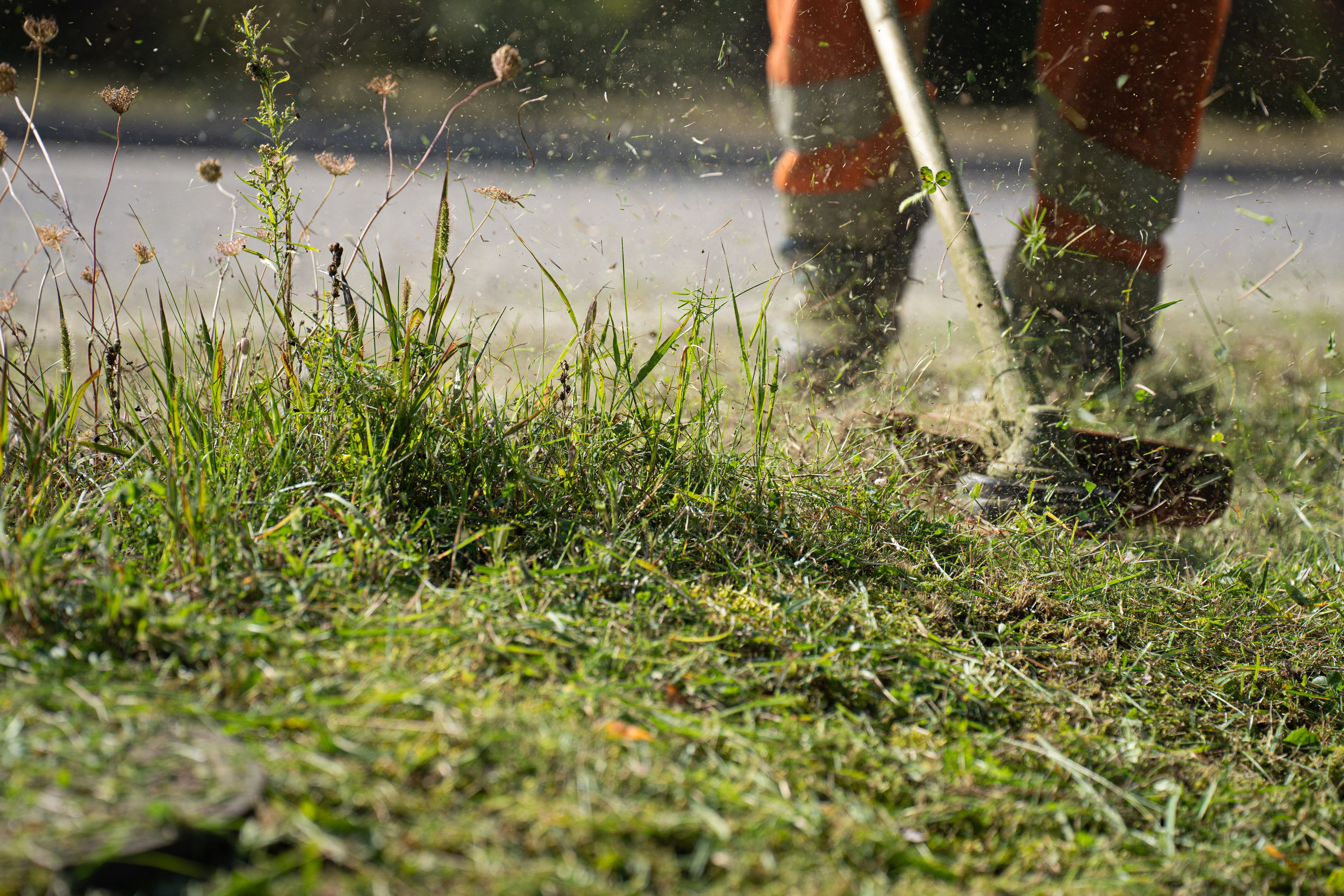 Landscaping photo